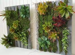 Vertical Succulent Garden In A Few Easy