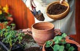 How To Sterilize Soil Steam Heat Or