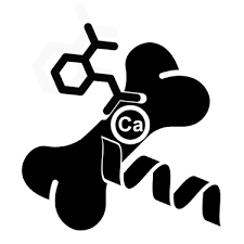 Protein S For Targeting Bone Tumors