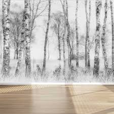 Wall Mural Black And White Birch Trees