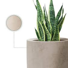 Plantara 24 In H Tall Concrete Planter Large Outdoor Plant Pot Modern Tapered Flower Pot With Drainage Hole For Garden