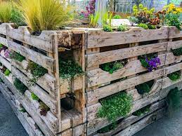 Vertical Vegetable Gardening