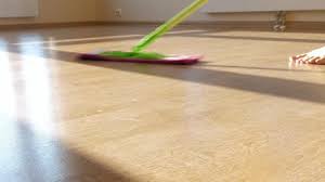 A Mop That Wipes The Laminate Floor