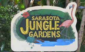 Sarasota Jungle Gardens Island Real