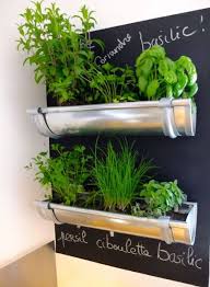 Diy Indoor Herb Garden Ideas Worthing