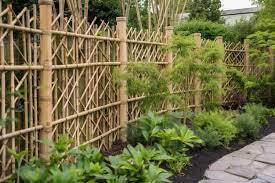 Bamboo Fence With Trellis In Garden Setting