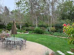 Gallery Mountain View Landscaping