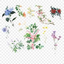 Flower Icon Png 1056x1050px South