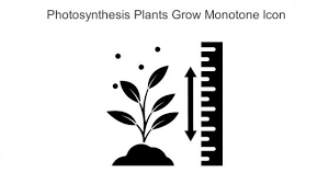 Photosynthesis Powerpoint Presentation