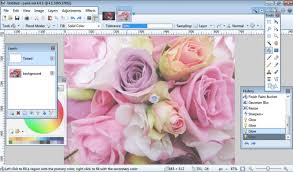 Image And Photo Touch Ups Paint Net Forum