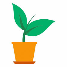 Ecology Nature Eco Flower Plant