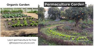 What Is Permaculture A Definitive Faq