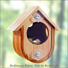 Building Birdhouses And Bird Feeders