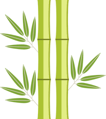 Green Bamboo Icon 19051638 Png