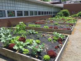 Outdoor Learning Center Olc Mendham