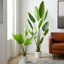 Faux Potted Bird Of Paradise Plant