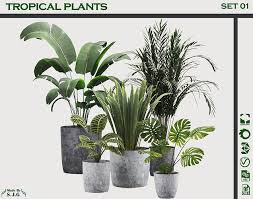 Tropical Plants Set 01 3d Model