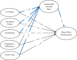 Sustainable Growth Rate