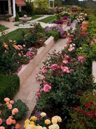10 Rose Garden Ideas Simphome Rose