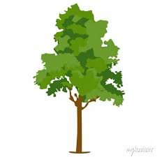 Editable Design Of Indian Cork Tree