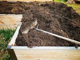 Garden Bed Garden Betty