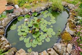 How To Hide The Pond Liner Water