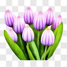 Beautiful Bouquet Of Purple Tulips Png