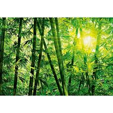 Brewster Dm123 Bamboo Forest Wall Mural