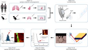 Profiling Native Pulmonary Basement