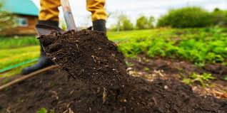 Garden Soil And Topsoil