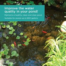 Complete Pressurized Pond Filter
