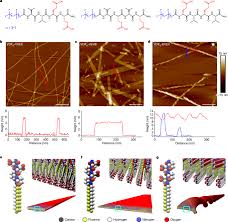 Peptide Programming Of Supramolecular