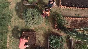Organic Gardening Stock Footage