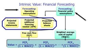Fin 432 Chap 9 Financial Planning