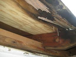 fascia soffit repair best roofing