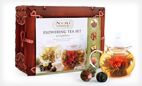 Numi Organic Tea Flowering Gift Set