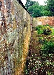 Long Garden Wall With No Piers