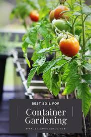 Best Soil For Container Gardening