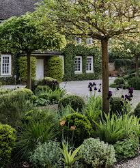 Best Evergreen Shrubs 10 Best