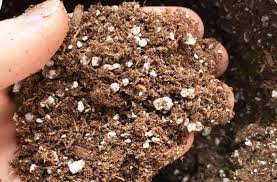 Sterile Potting Soil For Kids And
