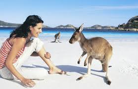 How To Get To Wineglass Bay Tasmania