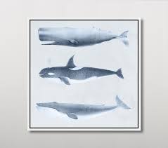 Whales Wall Art Pottery Barn Kids