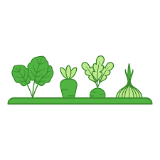 Premium Vector Green Vegetable Garden