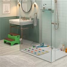 Showerguard Glass Shower Doors For A