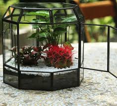 House Shaped Terrarium Containers