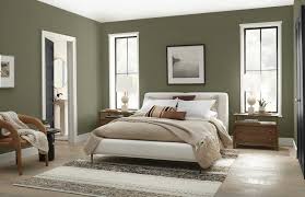 Mountain Olive Paint Color December