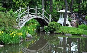 Garden Bridge Japanese Garden Landscape