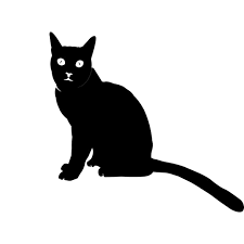 Black Cat Free Icons Icon Cats