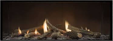 Escea Ds 1150 Gas Log Fireplace Single