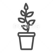 Plant With Leaves Seedlings In Pot